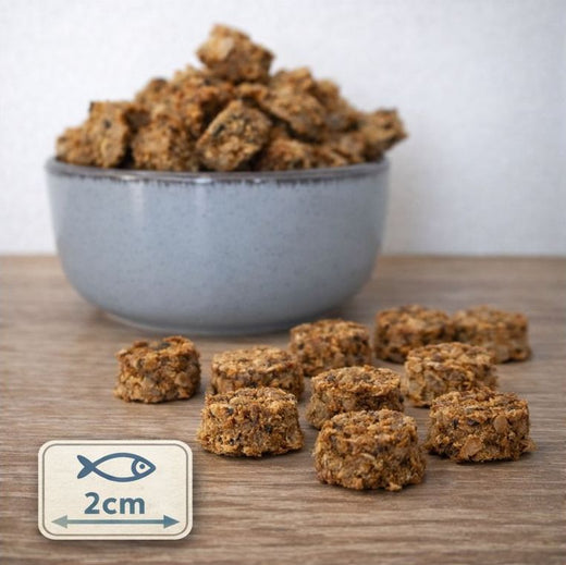 Fischtaler Lachs