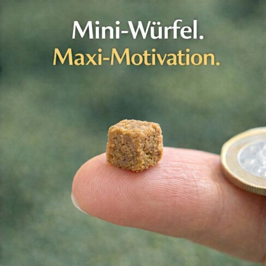 Mini-Würfel Hirsch 5kg