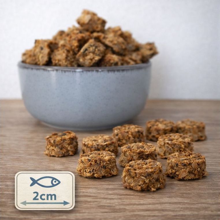 Fischtaler Lachs